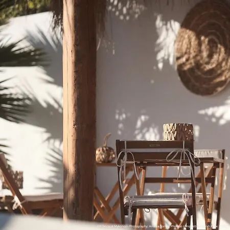 Апарт-отель Elli Tropical Luxury Sunset-infinity Pool- Sea Side-near Center Parking Mykonos Town