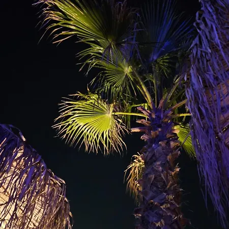 Elli Tropical Luxury Sunset-infinity Pool- Sea Side-near Center Parking Mykonos Town