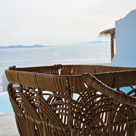 Elli Tropical Luxury Sunset-infinity Pool- Sea Side-near Center Parking Mykonos Town