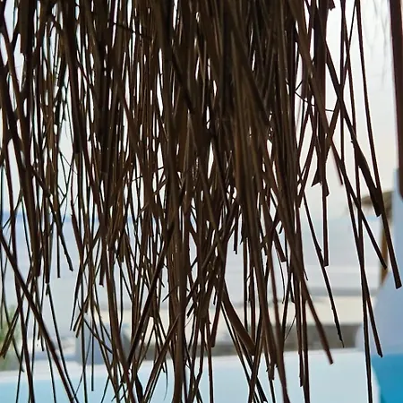 Elli Tropical Luxury Sunset-infinity Pool- Sea Side-near Center Parking 公寓式酒店 Mykonos Town
