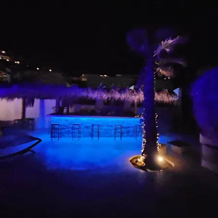 Elli Tropical Luxury Sunset-infinity Pool- Sea Side-near Center Parking Mykonos Town