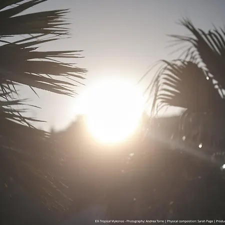 Elli Tropical Luxury Sunset-infinity Pool- Sea Side-near Center Parking Aparthotel *